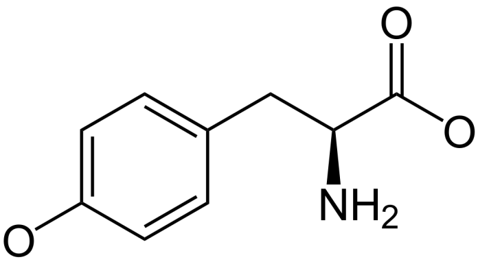 L-tyrosin L-tyrosin