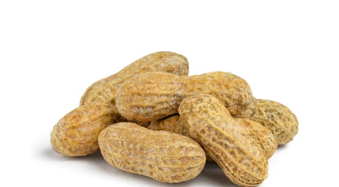 Buráky
