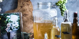 Co je kombucha