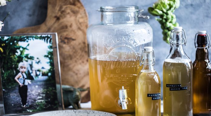 Co je kombucha