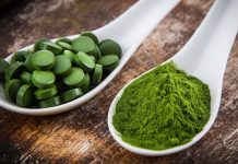 Chlorella