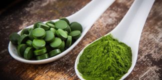 Chlorella