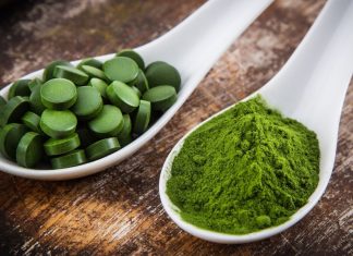 Chlorella