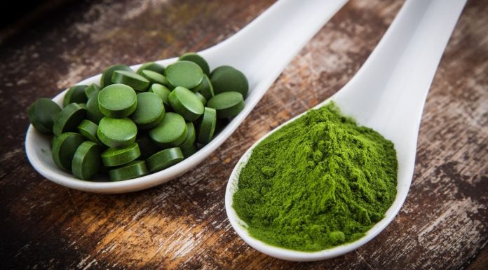 Chlorella