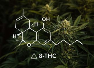 Delta-8 THC