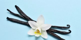 Odkud pochází vanilkové aroma