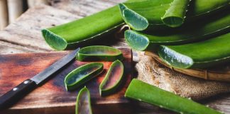 Aloe Vera
