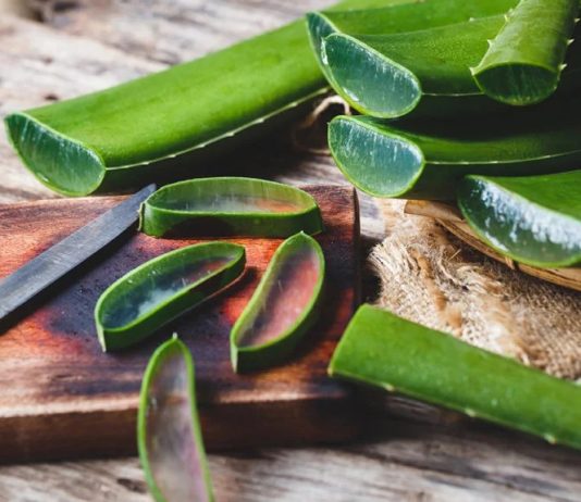 Aloe Vera