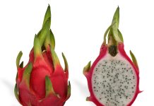 Dračí ovoce