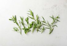 Tarragon