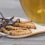 Cordyceps