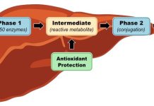 Detoxikace jater