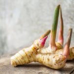 Galangal