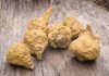 Maca