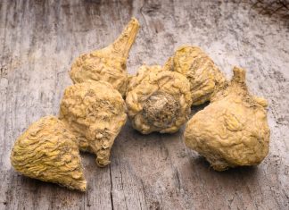 Maca