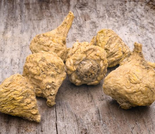 Maca