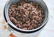 Co je Quinoa?