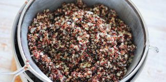 Co je Quinoa?