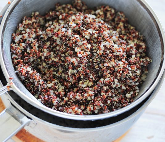 Co je Quinoa?