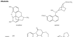 Alkaloidy