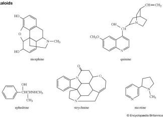 Alkaloidy