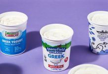 Řecký jogurt