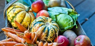 Podzimní zelenina a ovoce pro zdravé a chutné vaření Podzimní zelenina a ovoce pro zdravé a chutné vaření