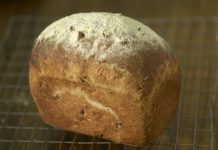 Seznam potravin obsahujících protisty, houby a bakterie Seznam potravin obsahujících protisty, houby a bakterie