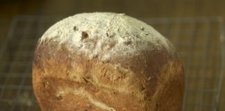 Seznam potravin obsahujících protisty, houby a bakterie Seznam potravin obsahujících protisty, houby a bakterie