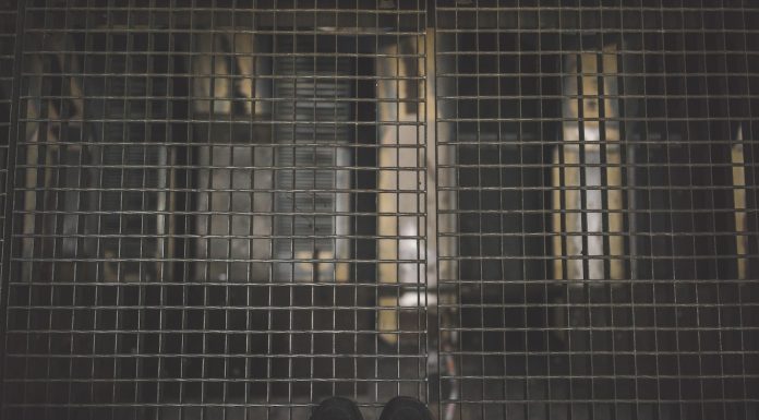 Jak si vybudovat odolnost pro silnější myšlení Jak si vybudovat odolnost pro silnější myšlení