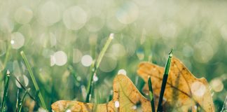Úloha kreativity při zlepšování životní pohody Úloha kreativity při zlepšování životní pohody