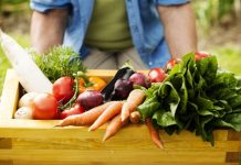 Výhody rostlinné stravy pro zdraví