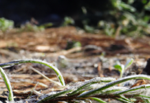 Ranní procházka jako skvělý způsob, jak nastartovat den Ranní procházka jako skvělý způsob, jak nastartovat den