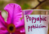 Perfekcionismus: Vliv na psychiku, zdraví a výkon Perfekcionismus: Vliv na psychiku, zdraví a výkon
