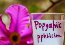 Perfekcionismus: Vliv na psychiku, zdraví a výkon Perfekcionismus: Vliv na psychiku, zdraví a výkon