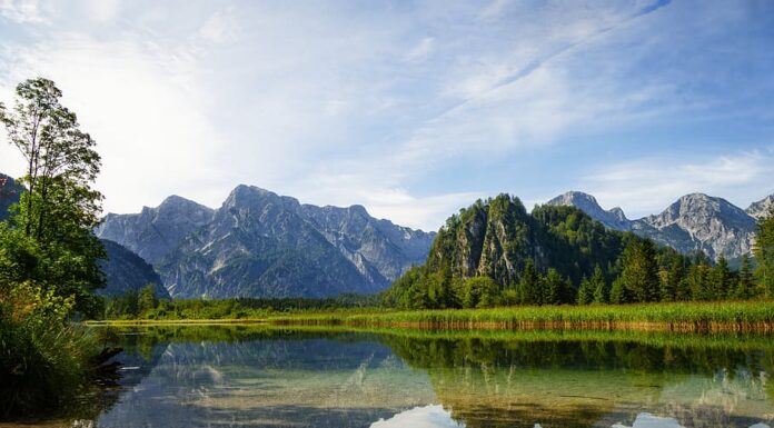 Benefity a optimální doba strávená v přírodě Benefity a optimální doba strávená v přírodě