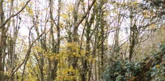 Tipy na hubnutí při chůzi: Za hodinu spálíte až 680 kcal Tipy na hubnutí při chůzi: Za hodinu spálíte až 680 kcal