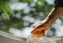 Detox: Prospěch nebo potenciálně škodlivá praktika? Detox: Prospěch nebo potenciálně škodlivá praktika?