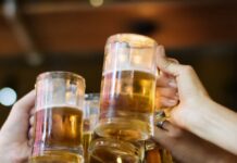 Pití piva prospívá zdraví střev? Nová studie nabízí zajímavé poznatky Pití piva prospívá zdraví střev? Nová studie nabízí zajímavé poznatky