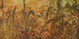 Jet lag: Příčiny a rady, jak se s ním vypořádat