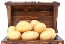 Hubněte zdravě a bez hladu: Jednoduchá krabičková dieta pro ženy Hubněte zdravě a bez hladu: Jednoduchá krabičková dieta pro ženy