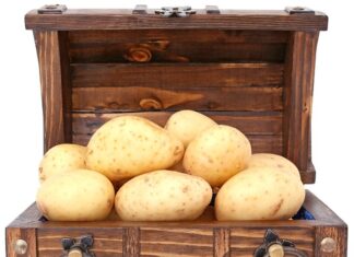 Hubněte zdravě a bez hladu: Jednoduchá krabičková dieta pro ženy Hubněte zdravě a bez hladu: Jednoduchá krabičková dieta pro ženy