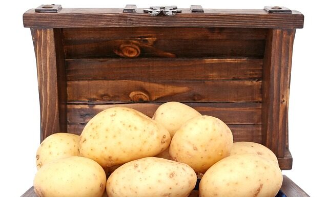 Hubněte zdravě a bez hladu: Jednoduchá krabičková dieta pro ženy Hubněte zdravě a bez hladu: Jednoduchá krabičková dieta pro ženy