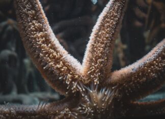 Nejběžnější výmluvy pro vyhýbání se vaření doma Nejběžnější výmluvy pro vyhýbání se vaření doma