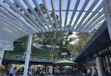 Krabičková strava: 6 tipů pro začátek Krabičková strava: 6 tipů pro začátek