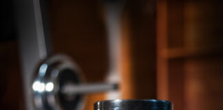 TOP 5 proteinů pro zlepšení stravy a výkonu TOP 5 proteinů pro zlepšení stravy a výkonu