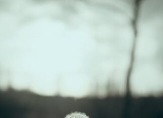 Osm cviků pro pevnou bederní páteř Osm cviků pro pevnou bederní páteř