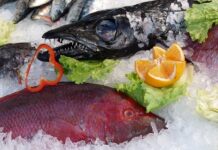 Proteinové zmrzliny: Kolik obsahují proteinů a jak se orientovat? Proteinové zmrzliny: Kolik obsahují proteinů a jak se orientovat?