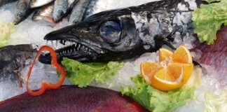 Proteinové zmrzliny: Kolik obsahují proteinů a jak se orientovat? Proteinové zmrzliny: Kolik obsahují proteinů a jak se orientovat?