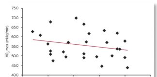 VO2max ve vytrvalostním sportu: Jeho význam a měření